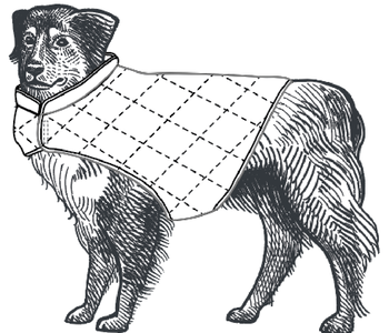 pattern-image